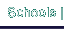 Schools