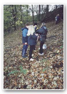 Woolley Bank Wood