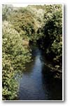 The River Dearne at Cliffe Wood